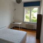 IMG_20250507_125046_1 - Copie